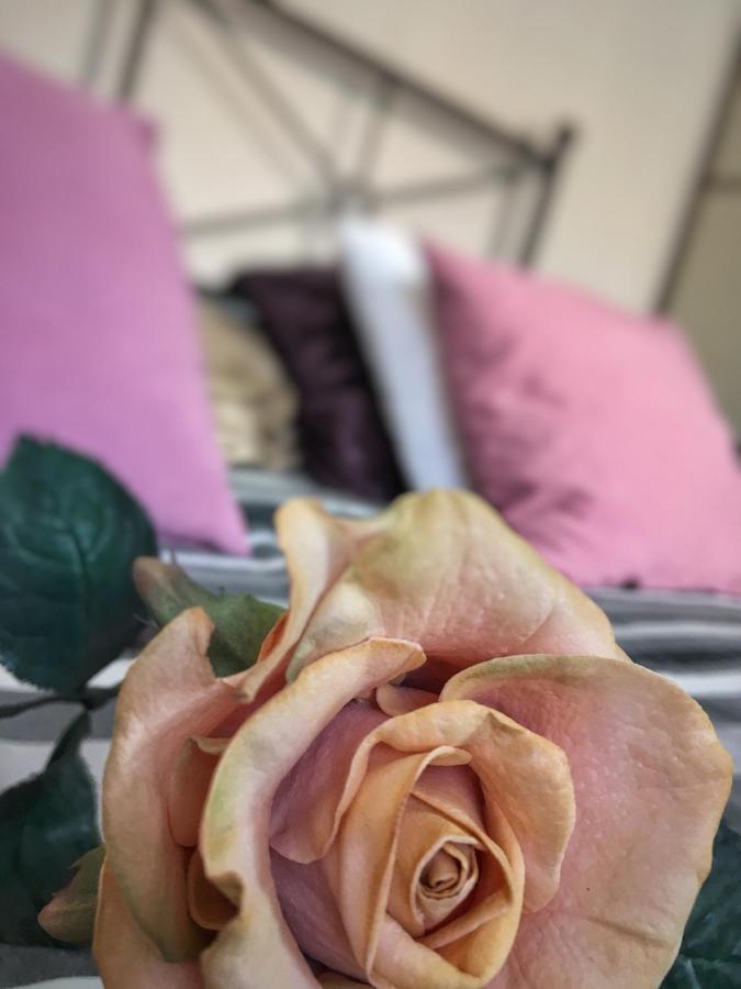 Apartament Zuzia Olsztyn  Luaran gambar